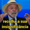 recolha a sua insignificância