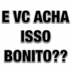 E VC ACHA ISSO BONITO??
