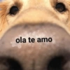Meemes de animalitos 🥵✨ 9