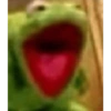 Frog 11
