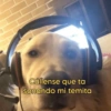 Callense que ta sonando mi temita