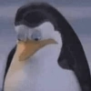 Shitpost 7