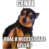 Animais 30