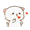 Kucing gemoy 14
