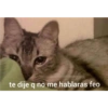 Quiere que le baile 6
