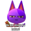 De que shingados
hablas?