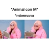 Memes/cosas de hermanos 🐵 16