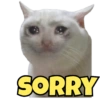 SORRY