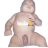 buda