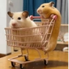 HAMSTER 7