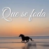 Reações + cavalos 🐎 5