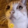 (0):