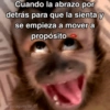🙊😜🔥 Funny Monkey 🔥😜🙊 15