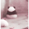 Animales 9