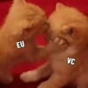 EU VC