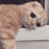 Взгляд с подоконника