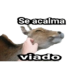 Animais 14