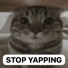STOP YAPPING