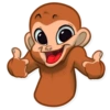 Monkey 15