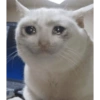 Meme cringe horor😭 18