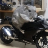 Kawasaki RI