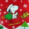 Snoopy navideño❤️ 9
