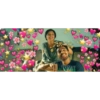 Crush.templates 16