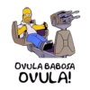 OVULA BABOSA OVULA!