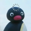 Pinguino random  5