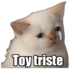 Payi Toy triste