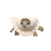 Dumpling kiyowo 6