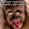 🙊😜🔥 Funny Monkey 🔥😜🙊 23