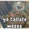 ya callate weeee