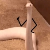 Cute snake 11