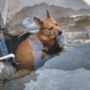 Bixins com calor 🥵 9