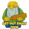The Simpsons 13