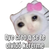 Oye creo q se te olvidó kererme