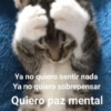 Ya no quiero sentir nada Ya no quiero sobrepensar Quiero paz mental