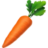 Carrot