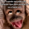 🙊😜🔥 Funny Monkey 🔥😜🙊 8