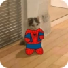Gato-Arácnido tierno