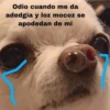 Odio cuando me da adedgia y loz mocoz se apodedan de mi