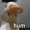 hum