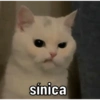 sínica