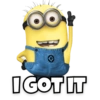 Minions 12