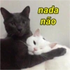 nada
não