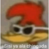 Meemes de animalitos 🥵✨ 13