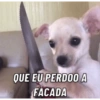 MÚSICAS DO MOMENTO 🎶💃🏻 14