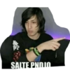 SALTE PNDIO