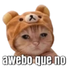 Memes pa' decir NEL 18